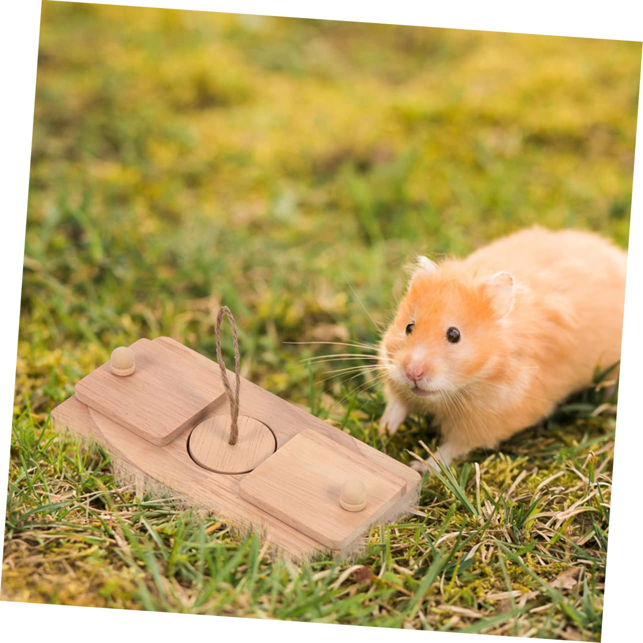 UPKOCH Jouet pour Hamster en Bois Caché de Friandises, Lot de 2