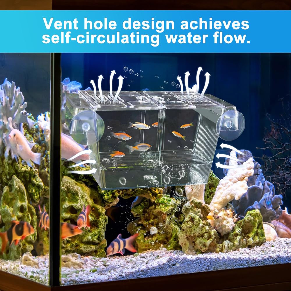 Scatola di Allevamento per Pesci o Acquario Box Isolamento in Acrilico per Pesci Scatola di Isolamento per Acquario per Pesce，con 5 Ventose, per Proteggere gli Avannotti, 23x9.8x9.5cm