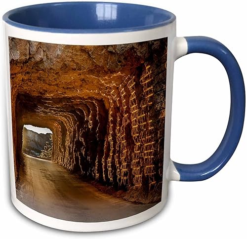 3dRose 260020_6 - Taza (10.0 fl oz), color azul y blanco