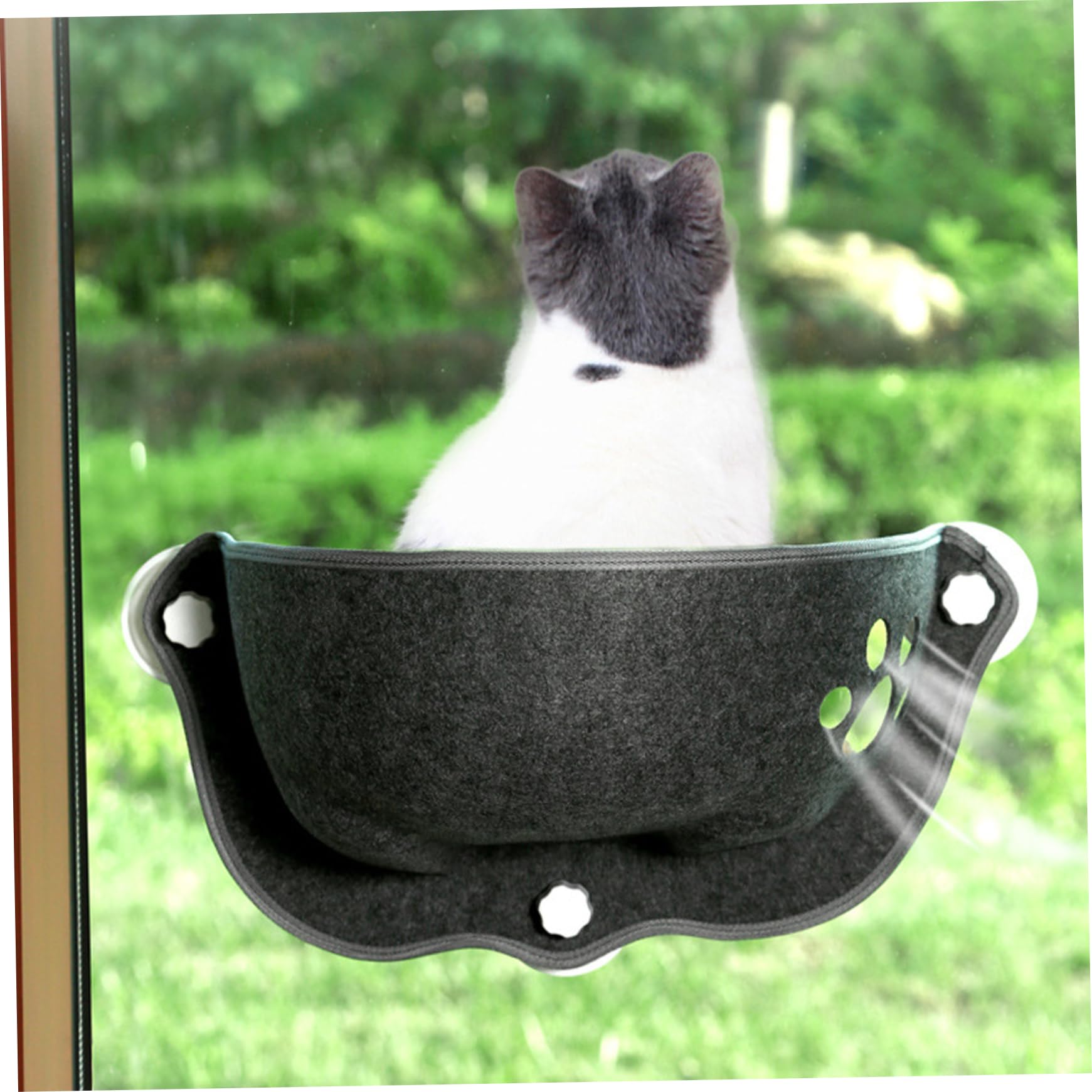 Lit de fenêtre de Chat, Aspiration de lit de Chat Window 20 x 11 x 11 Forme de Mine de fenêtre de Chat Hamac Lavable Cat Car Hamac Soft Cat Lounge Sage pour négligence, Voiture de Chat Hamac