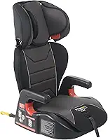 Burigotto Cadeira Para Auto Protege Fix Grafite