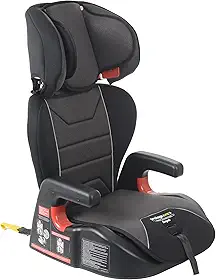 Burigotto Cadeira Para Auto Protege Fix Grafite