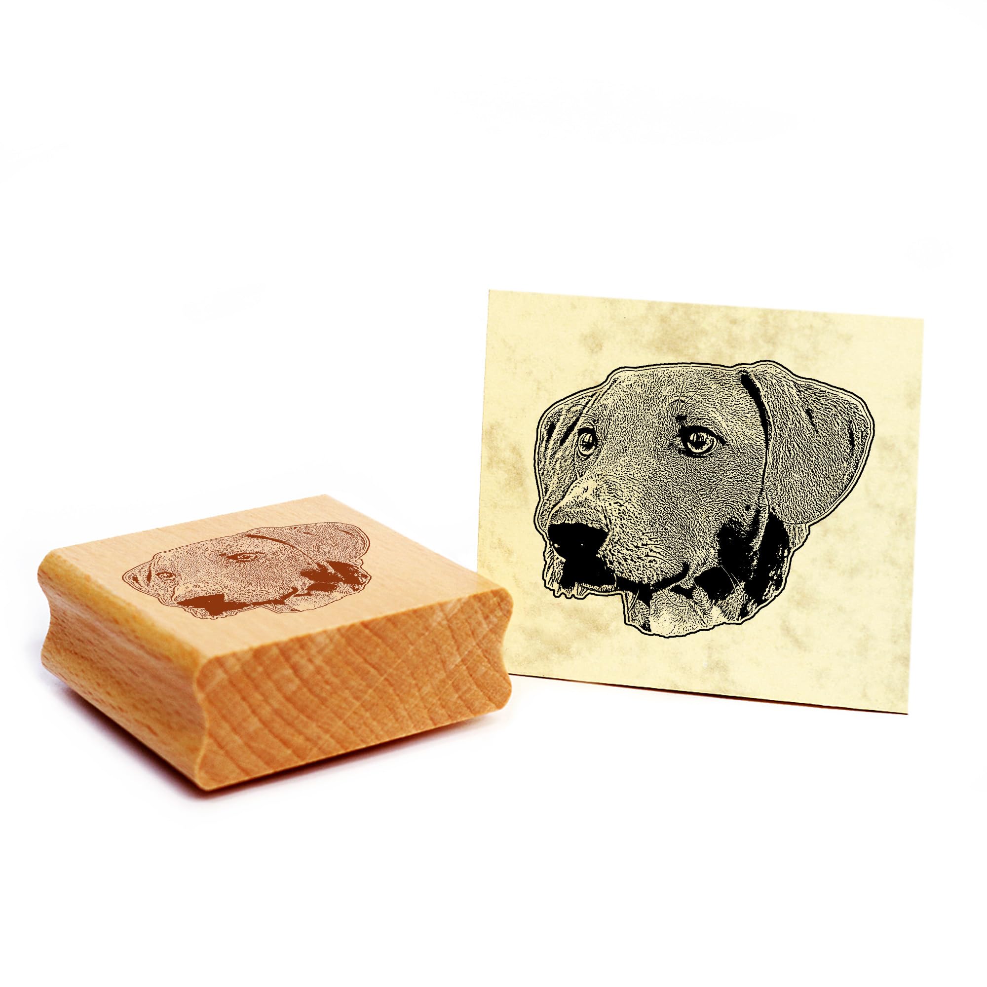 Dekolando Motif Stamp Azawakh Dog Wooden Stamp 48 x 41 mm — image 1