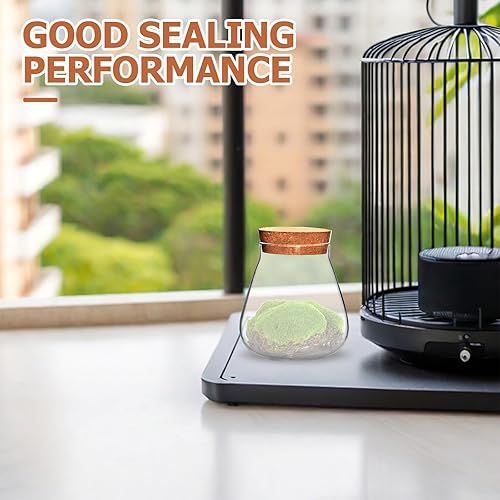 Miniatura 5 de HOMSFOU Estación de propagación de plantas, jarrón de vidrio de terrario con soporte de corcho transparente para plantas, tarros de flores, soporte