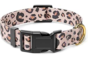 Rnivvi Personalized Dog Collar - Style and Safety for Your Beloved Girl