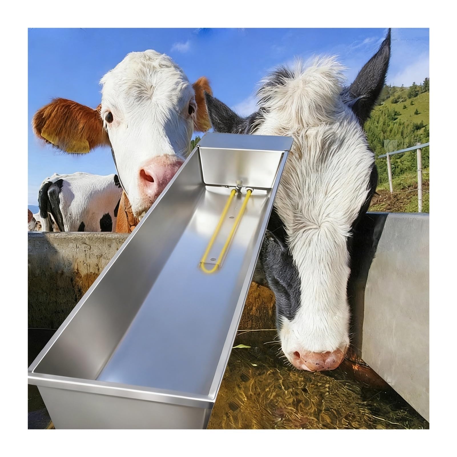 Abbeveratoio automatico d'acciaio Liveless dell'acqua di riempimento di grande capacità con il riscaldamento costante per l'alimentazione all'aperto del bestiame