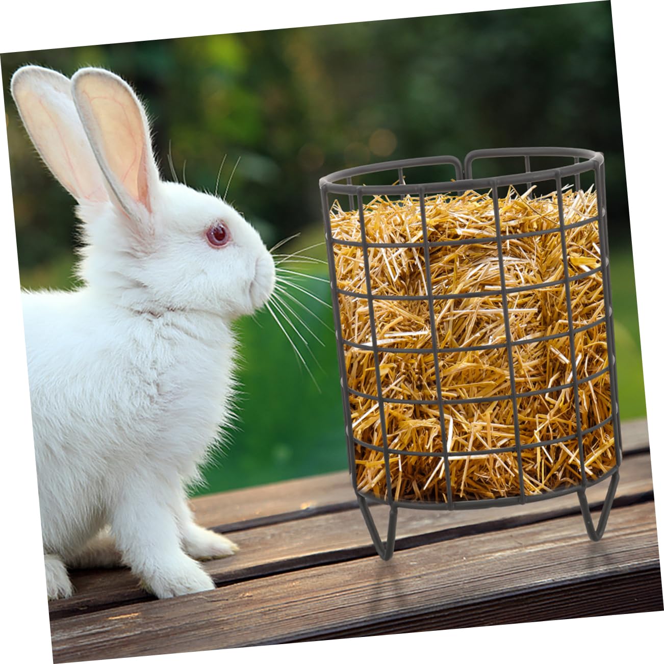 COLLBATH 2 Stück Metall Heuraufe für Meerschweinchen und Kaninchen Eisen Langsam Fressend für Käfig Hält Sauber