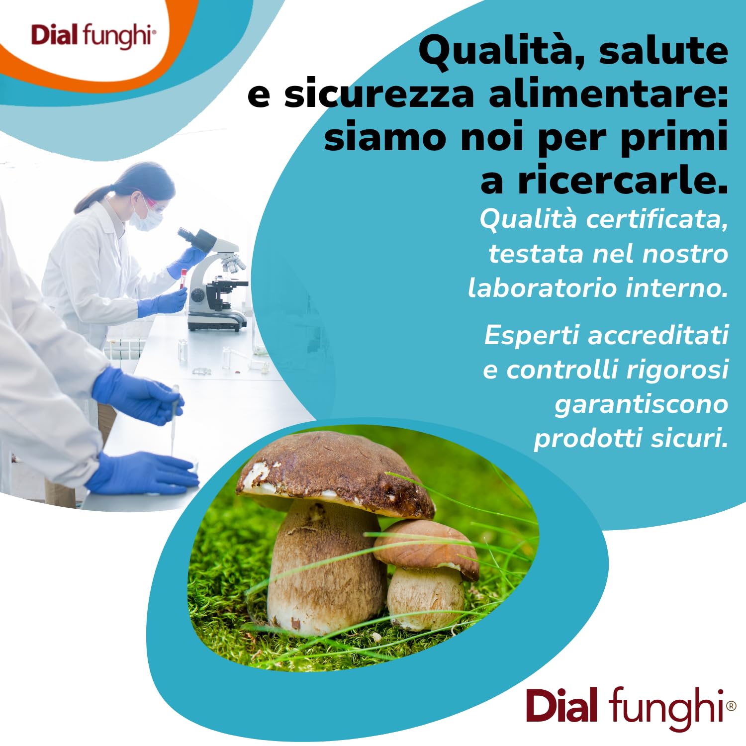 Funghi Shiitake Secchi a Fette Oro della Montagna 400g – Profumo Intenso, Gusto Umami – Ideali per cucina asiatica, ramen, zuppe, brodi, wok – 100% Naturali