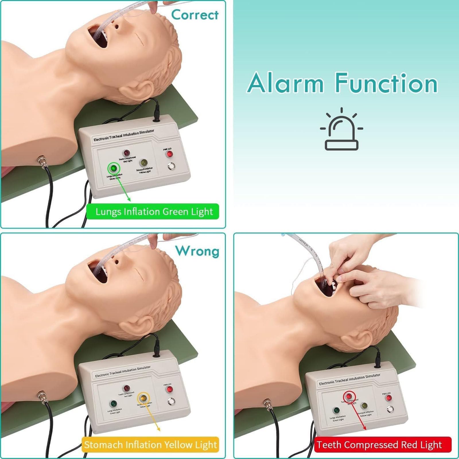 Intubation Manikin Training Krankenpflege Schaufensterpuppe,Erwachsene Intubationsmodell,Mit Zahnalarm-Gerät Simulator Atemwegsmanagement Trainer Intubation Head Lehre Unterrichtet