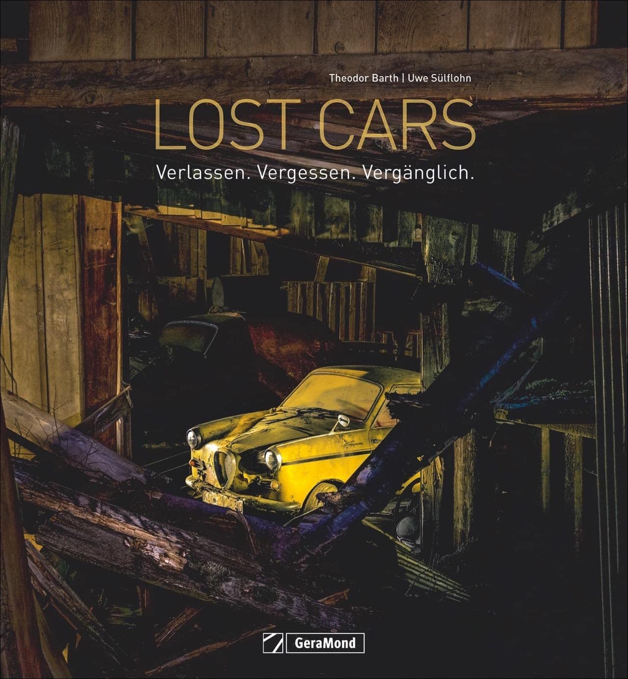 Lost Cars album photo poétique sur la mélancolie des épaves automobiles abandonnées