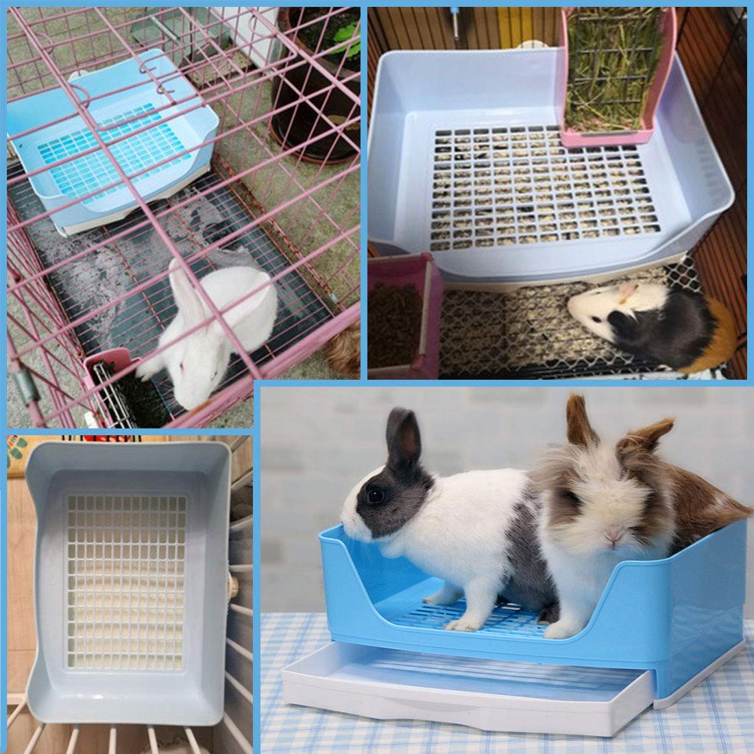 PINVNBY - Caja de arena para conejos de Indias, tamaño grande, para mascotas con cajón, caja de inodoro para perros y conejillos de indias, chinchilla hurón erizo pequeños animales (azul)