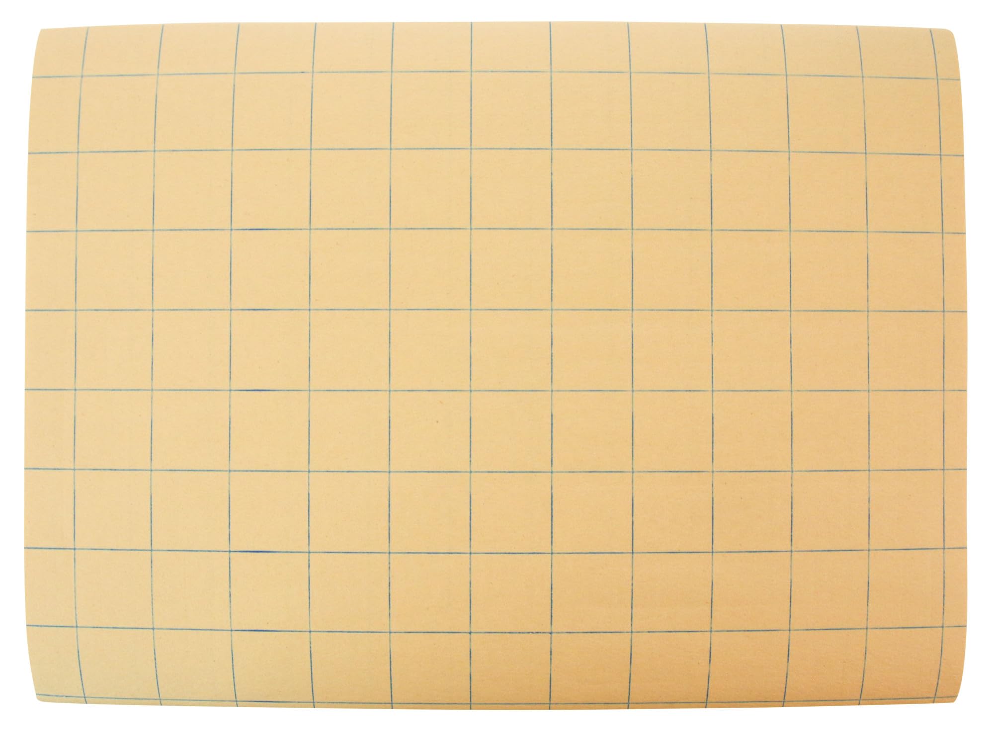 School Smart Graph Paper, 1 Inch Rule, 9 x 12 Inches, Manila, Pack of 500 - 085481