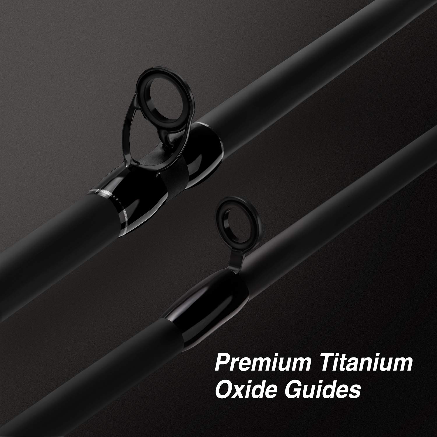 piscifun spinning rod