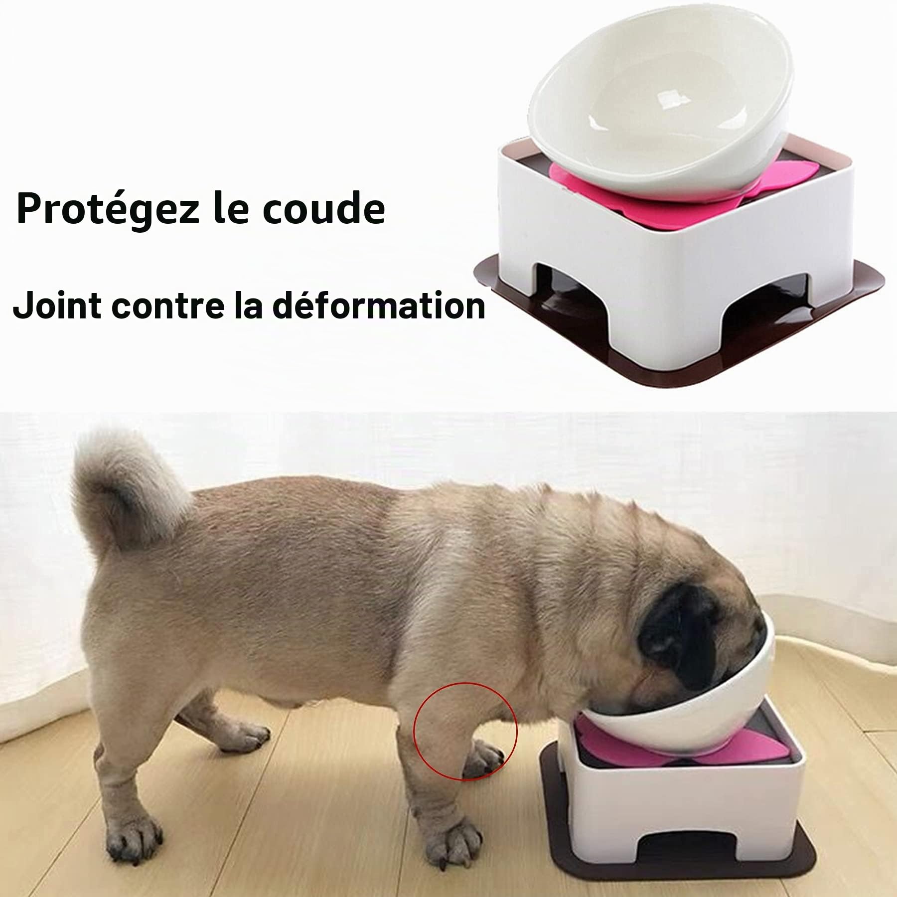 Bulldog Gamelle antidérapante pour Chien et Chat - Gamelle Amovible stérile inclinée pour Animal Domestique - Base inclinée - en céramique Noire - 1,5 Tasse