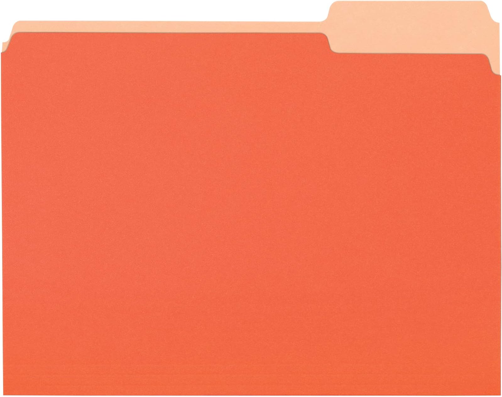 Gartner Studios Black and Neon File Folders with Gold Foil, 9 Count 11.75” x 8.75