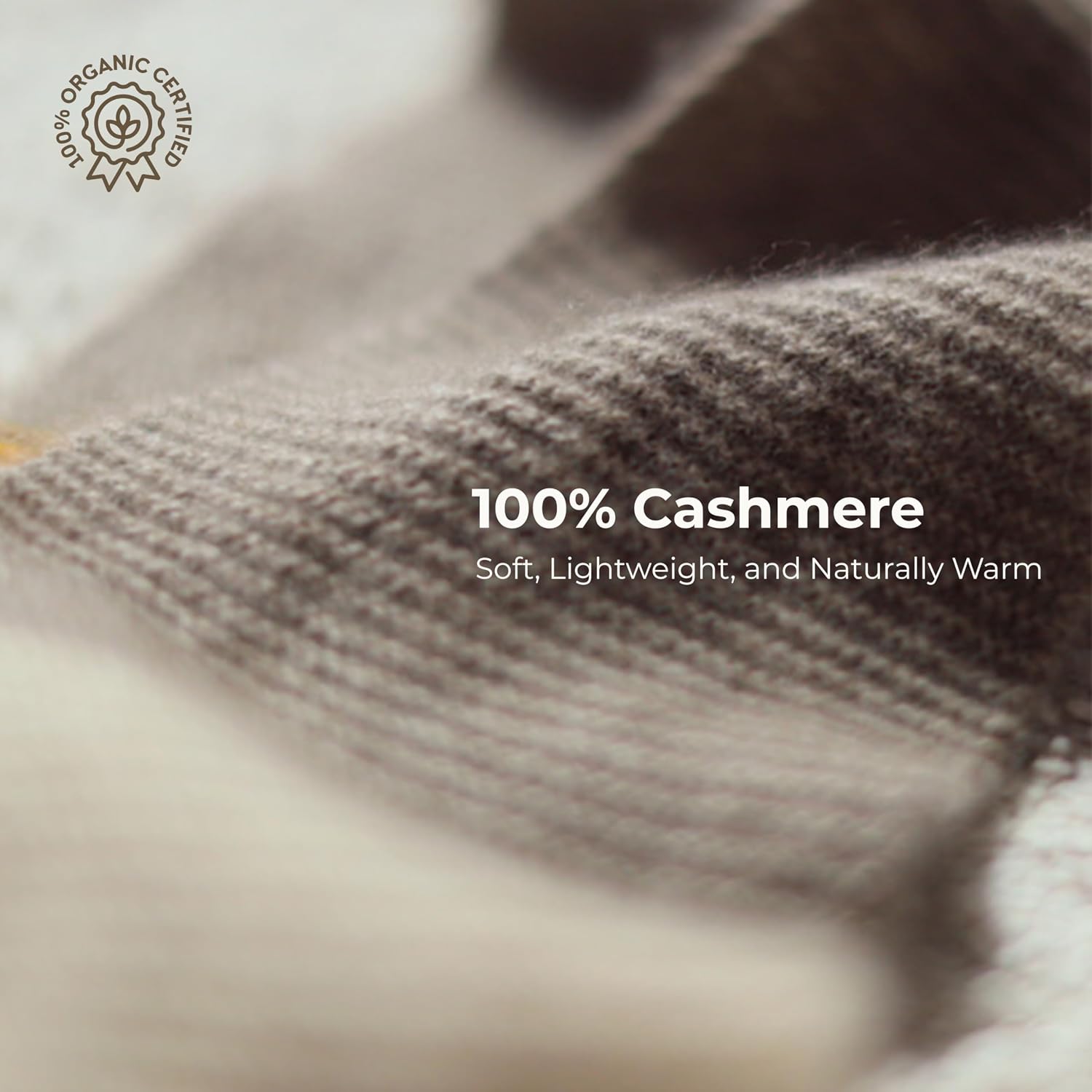 CASHMERE 100% MUFFLER SCARF POINT