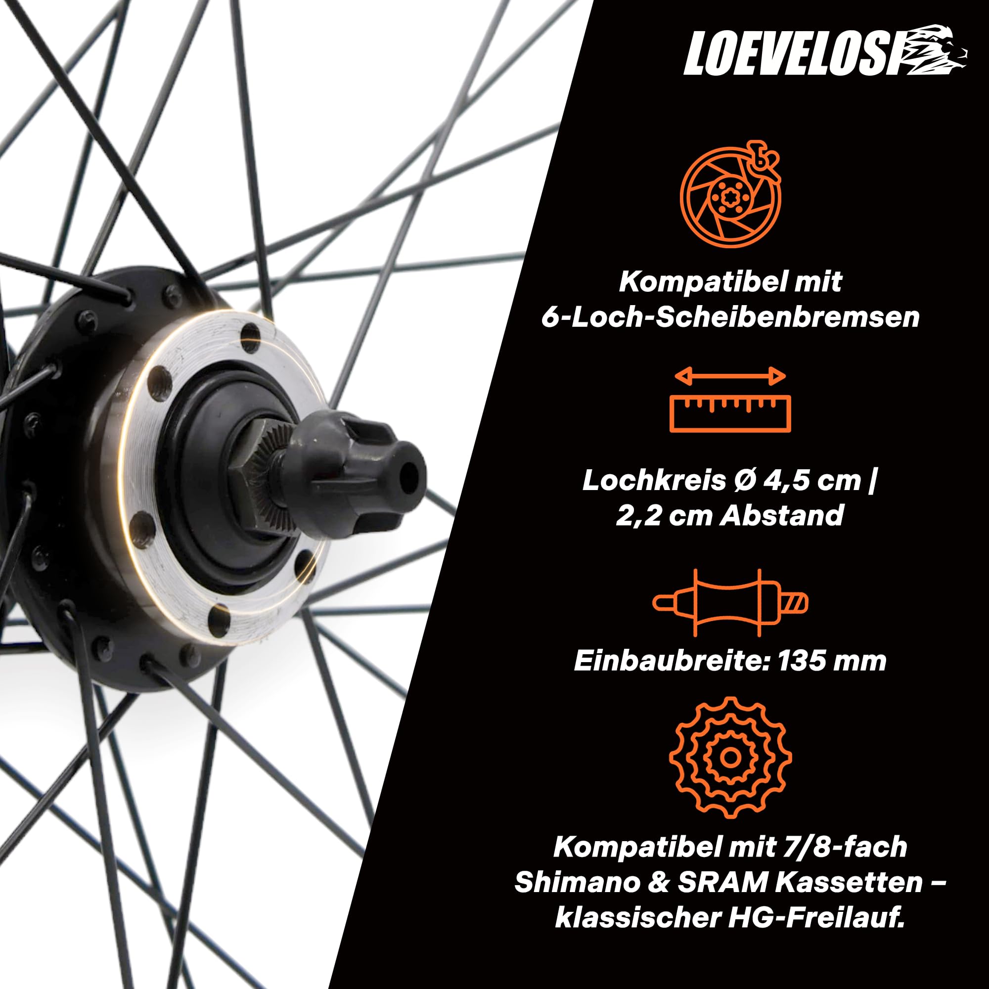MTB Hinterrad 29 Zoll Fahrrad Laufrad - Scheibenbremse 6-Loch - QR 9/10×135 - Schraubkranz 7/8-fach – Alu Felge & Nabe - 36 Speichen - Schwarz - LOEVELOSI