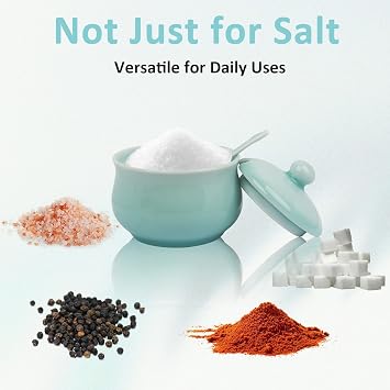 Porcelain Salt Cellar with Lid and Spoon, 4.4 oz Salt Container Sugar Bowl for Spice & Seasonings, Elegant Kitchen Counter Decor, Chinese Celadon (Ivory Blue)