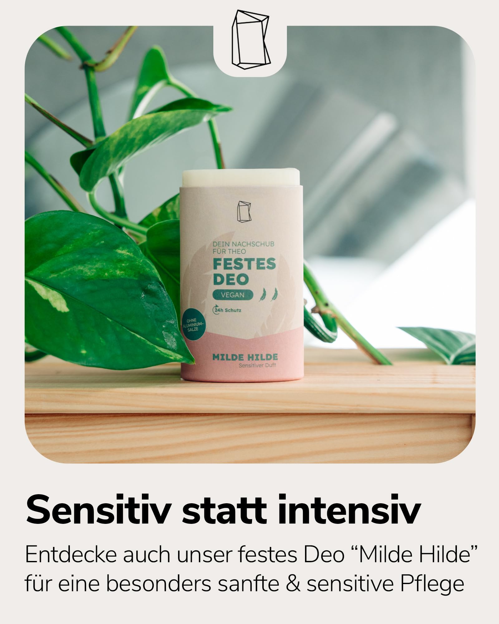 Duschbrocken Festes Deo Starterset - 3x Cool Raúl Deodorant mit Deo-Behälter - Herb & Frisch - 24h Schutz ohne Aluminium - Vegan & Plastikfrei - 316g