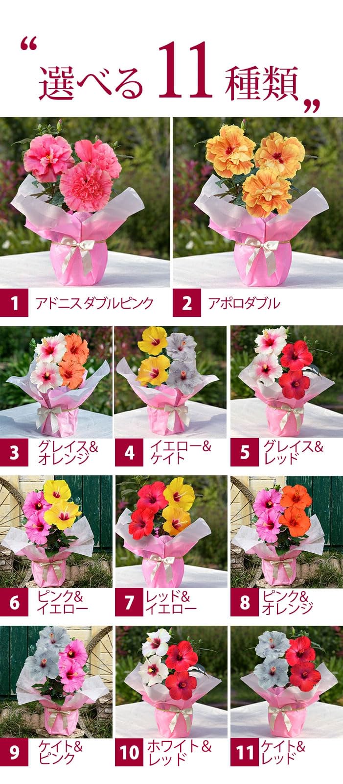 Amazon.co.jp: [World Fantasy Garden] 遅れてごめんね 母の日 ギフト