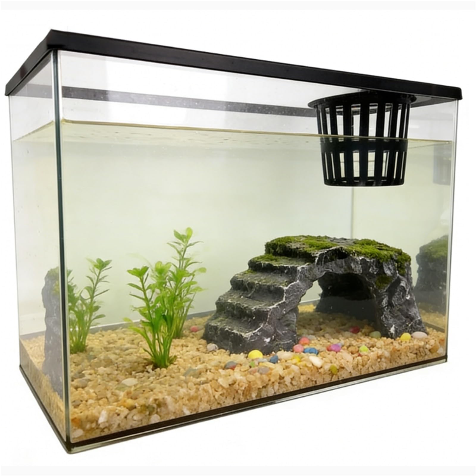 Siedlisko terrarium Zamknięty zbiornik do karmienia żółwi, przezroczysty, mały pulpit Terrarium akwariowe