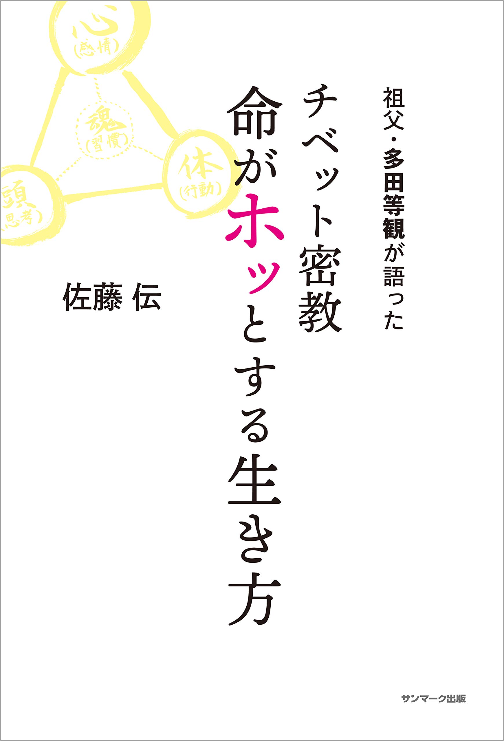 ⭐️佐藤伝【行動習慣セミナー】DVD5枚組＋9マスメモ新品5冊セット 佐藤 伝 の 出版カレッジPEN | satohden.com