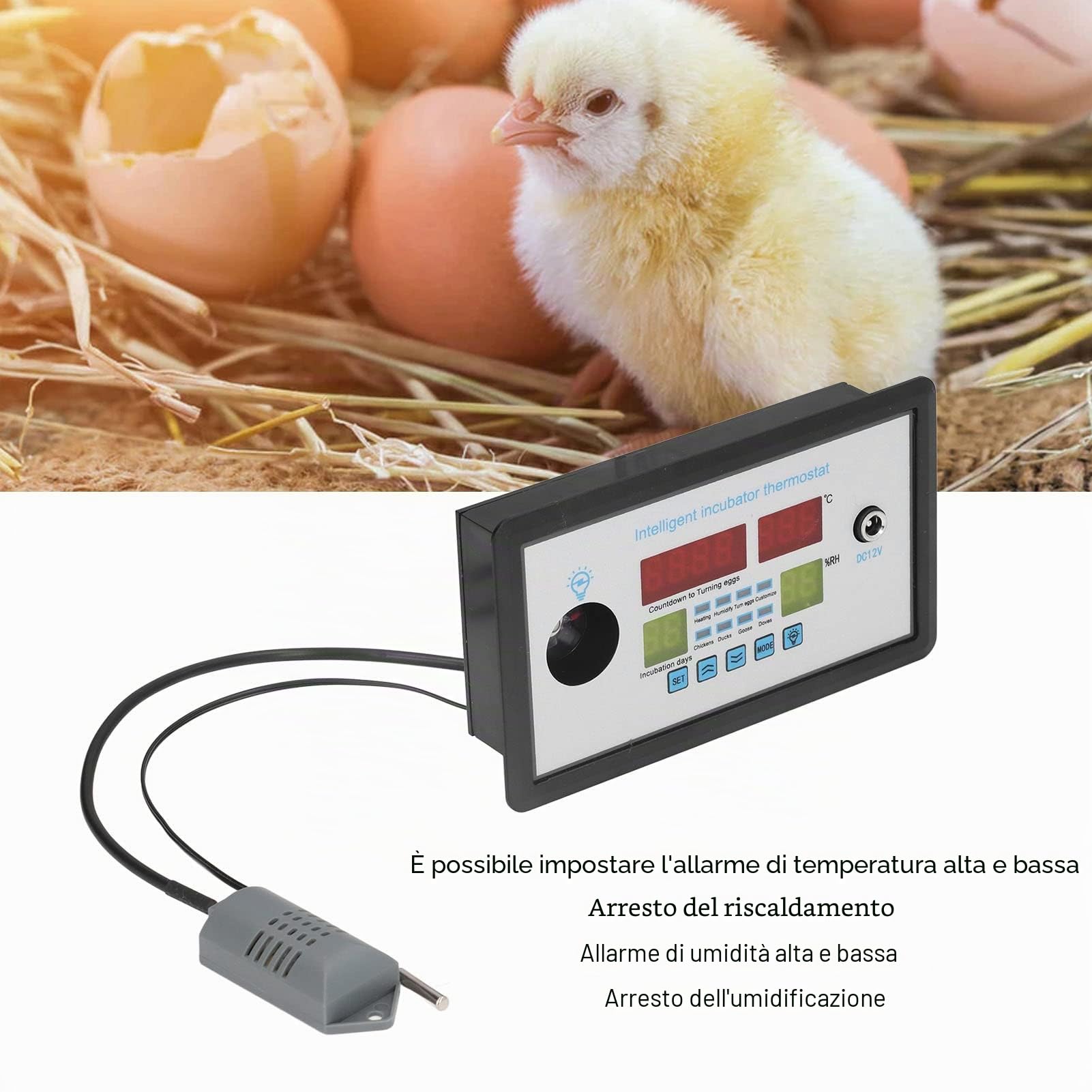 Termostato Intelligente per Incubatrice, Igrostato Automatico con Sonda Umidità e Temperatura, Controllo Remoto per Hatching, DC 12V