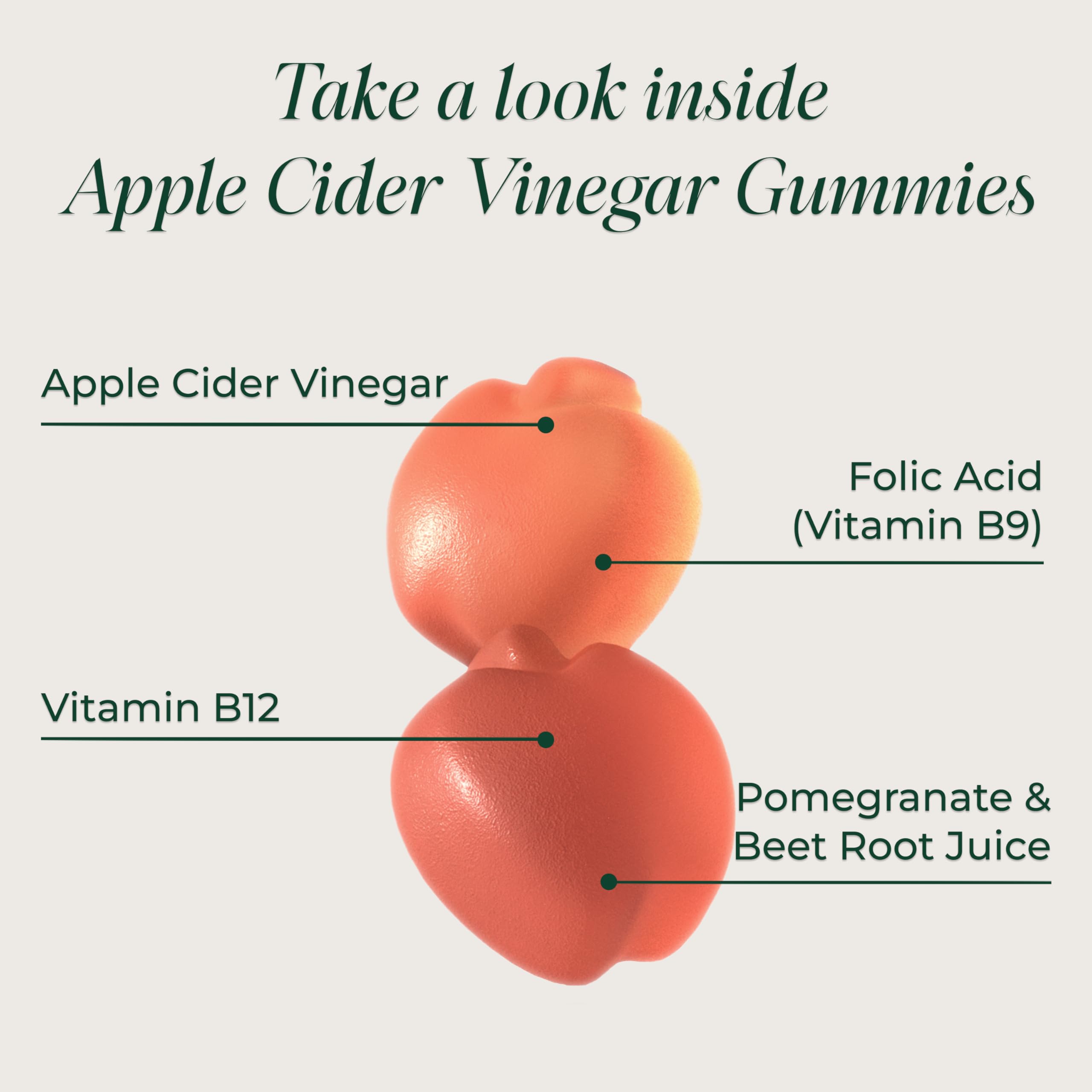 Primal Harvest ACV Gummies, 60 Sugar Free Apple Cider Gummies Beetroot and Pomegranate to Support Immunity, Digestion and Detox 750 MG — Amazon image 3