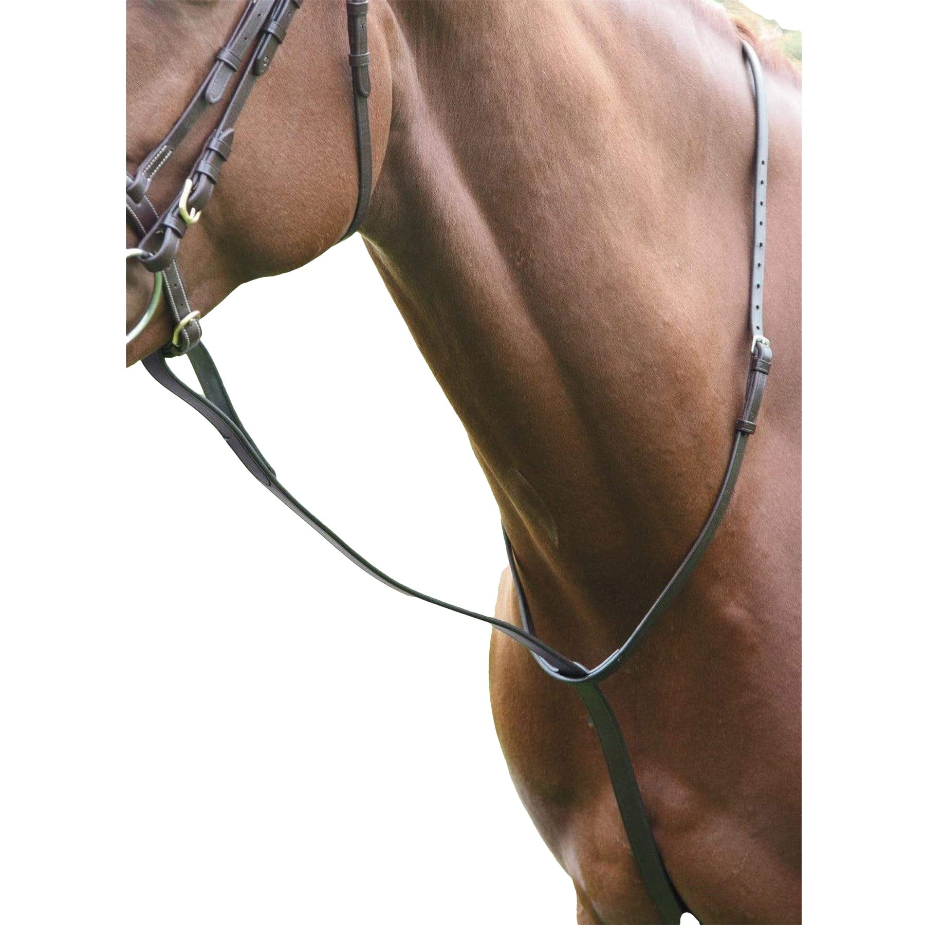Shires - Muta di marcia
