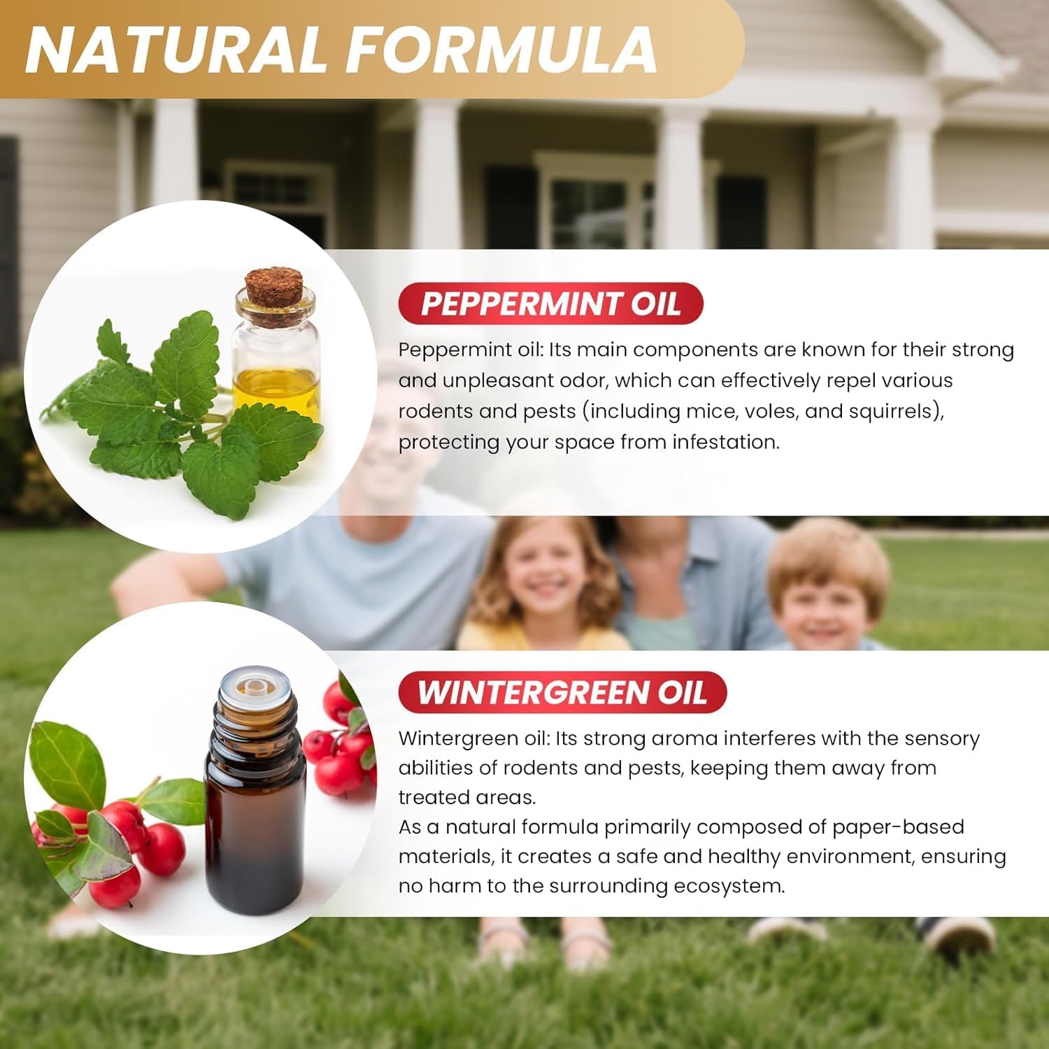 Rodent Repellent 36 Balls, Peppermint Oil Mouse Repellent for Indoor and Outdoor,Natural to Repel Mice and Rats, Rodents Deterrent to Keep Mice, Rats and Squirrels Away Your Home - Image 2