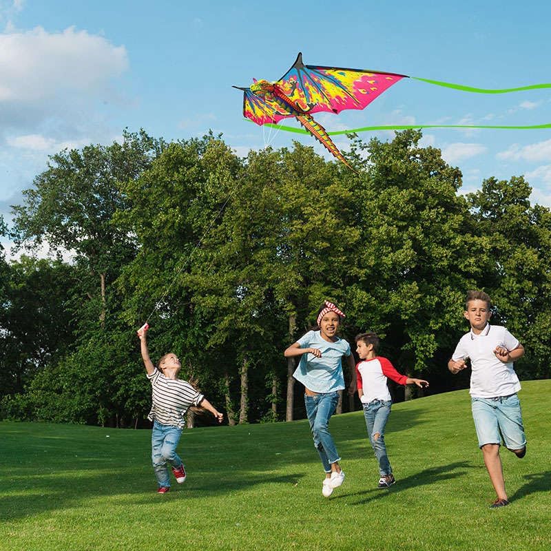 Miniatura 8 de Cometas de dragón 3D para adultos y niños, fácil de volar, juguete de playa, actividades al aire libre, 51 x 40 pulgadas, grande, línea única,