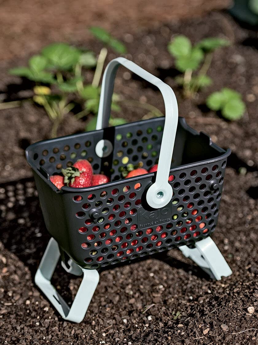 Gardener's Supply Company Multipurpose Mini Garden Basket | Mini Mod Hod For Collecting, Carrying, and Cleaning | Folding Legs and Handle | 9.5