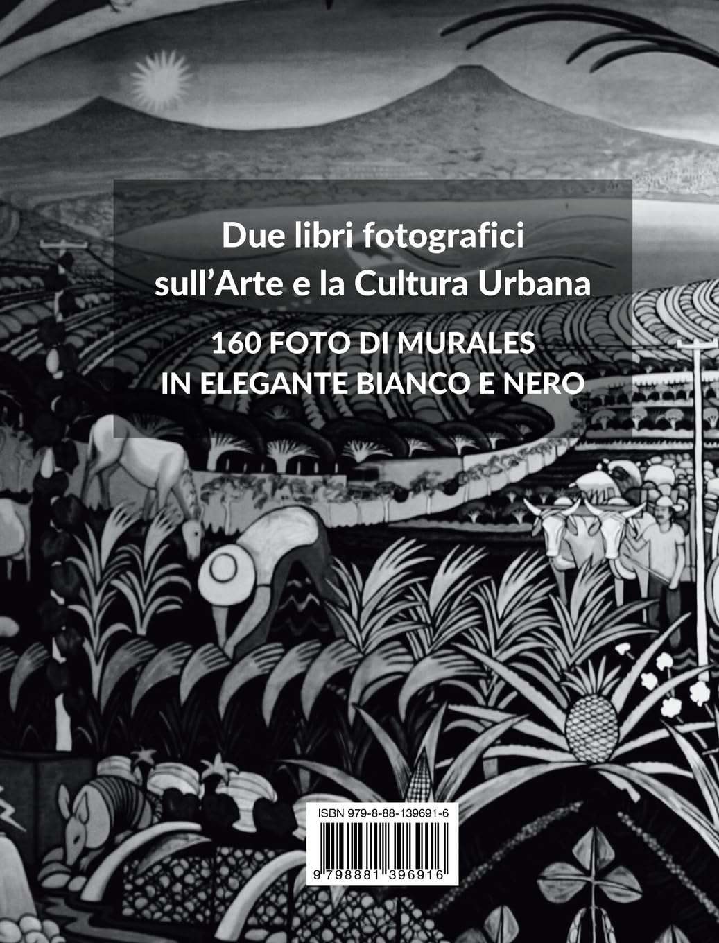 Collezione di Murales e Arte di Strada in Bianco e Nero - Volumi 2 e 3: Due libri fotografici sull'Arte e la Cultura Urbana