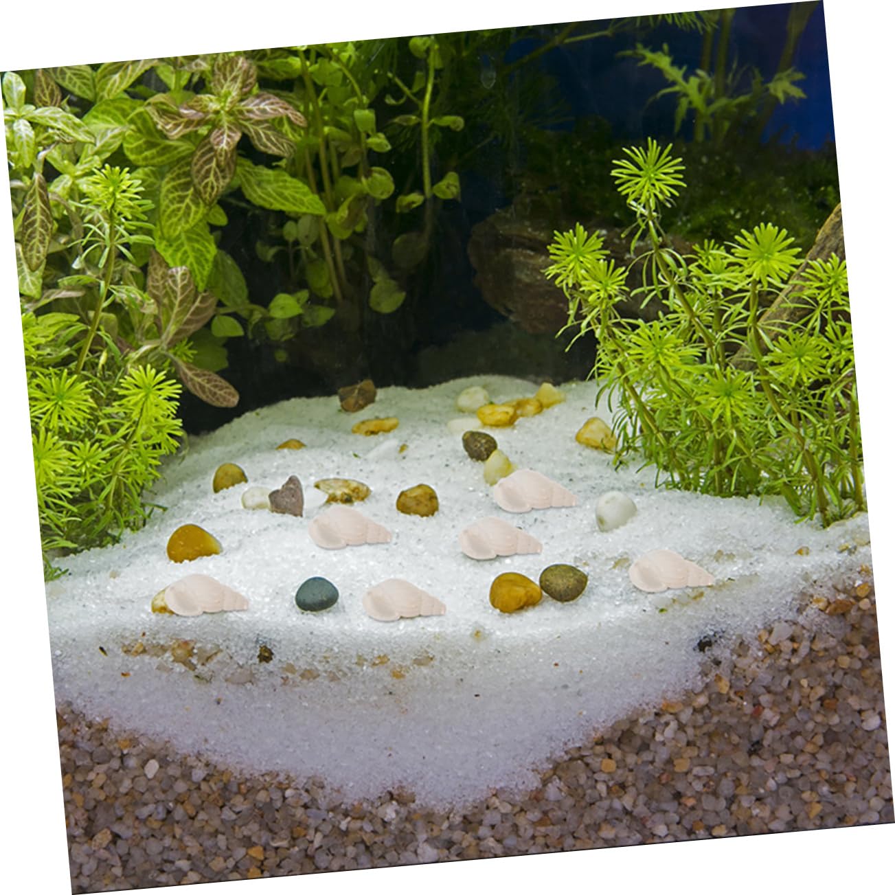 OUNONA 3 Set Decorazioni di Conchiglie Piccoli Acquari Mini Conchiglie Conchiglie di Capesante Conchiglie per Acquari Conchiglie Decorazioni Nautiche Conchiglie 400 Pezzi * 3