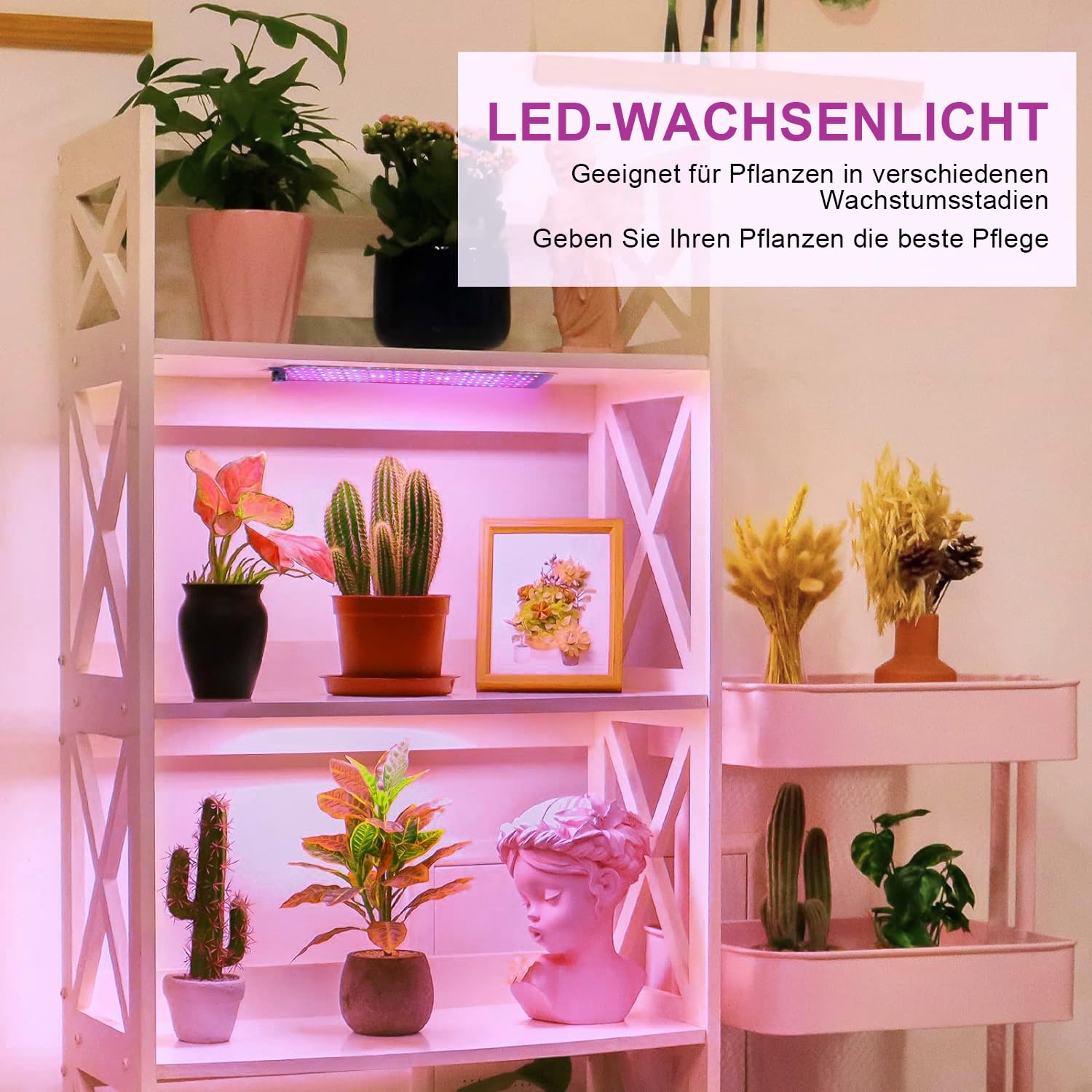 4Stück Pflanzenlampe LED, Vollspektrum Grow Lampe mit 600LEDs, Pflanzenlicht mit Zeitschaltuhr, Dimmbar Wachsen licht für Zimmerpflanzen, Setzlinge, Unterschrankpflanzen, Grow Zelt, Gemüse
