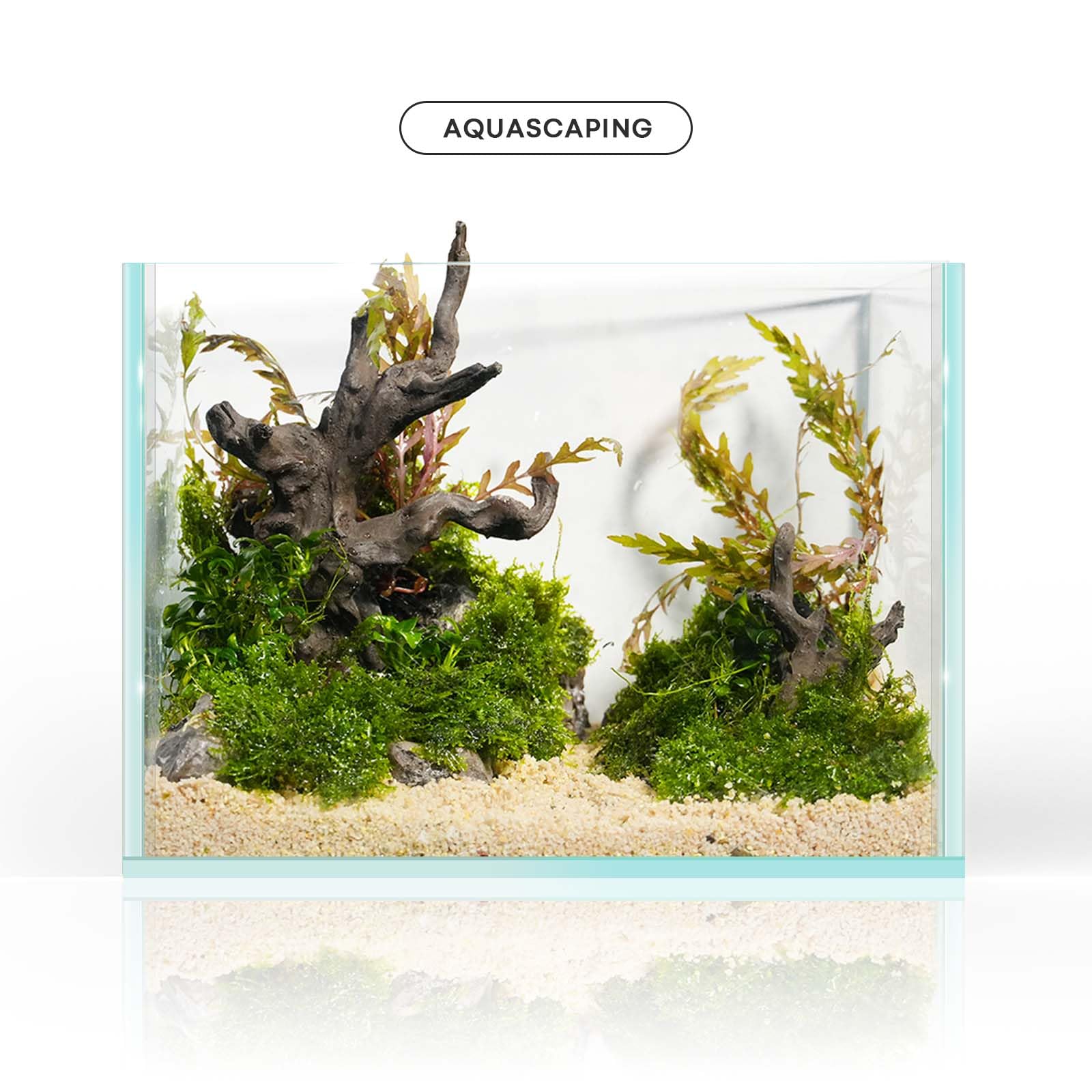 FZONE Legno Galleggiante in Resina per Acquario, Ornamento ad Albero Piccolo per Aquascaping in Acqua Dolce e Nano Acquari