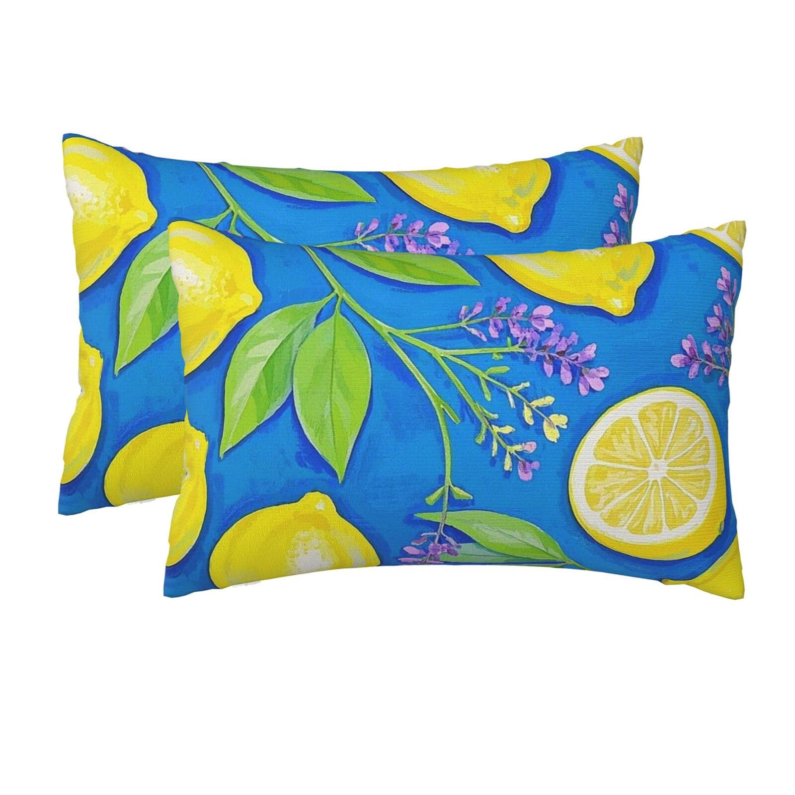2 Pack Queen Size Pillow Cases for Hair and Skin Soft Breathable Pillow Case Covers with Hidden Zipper Lemon Blue Yellow Boho Pillowcase 20x30 Inches Pillow Cover for Sleeping Gift