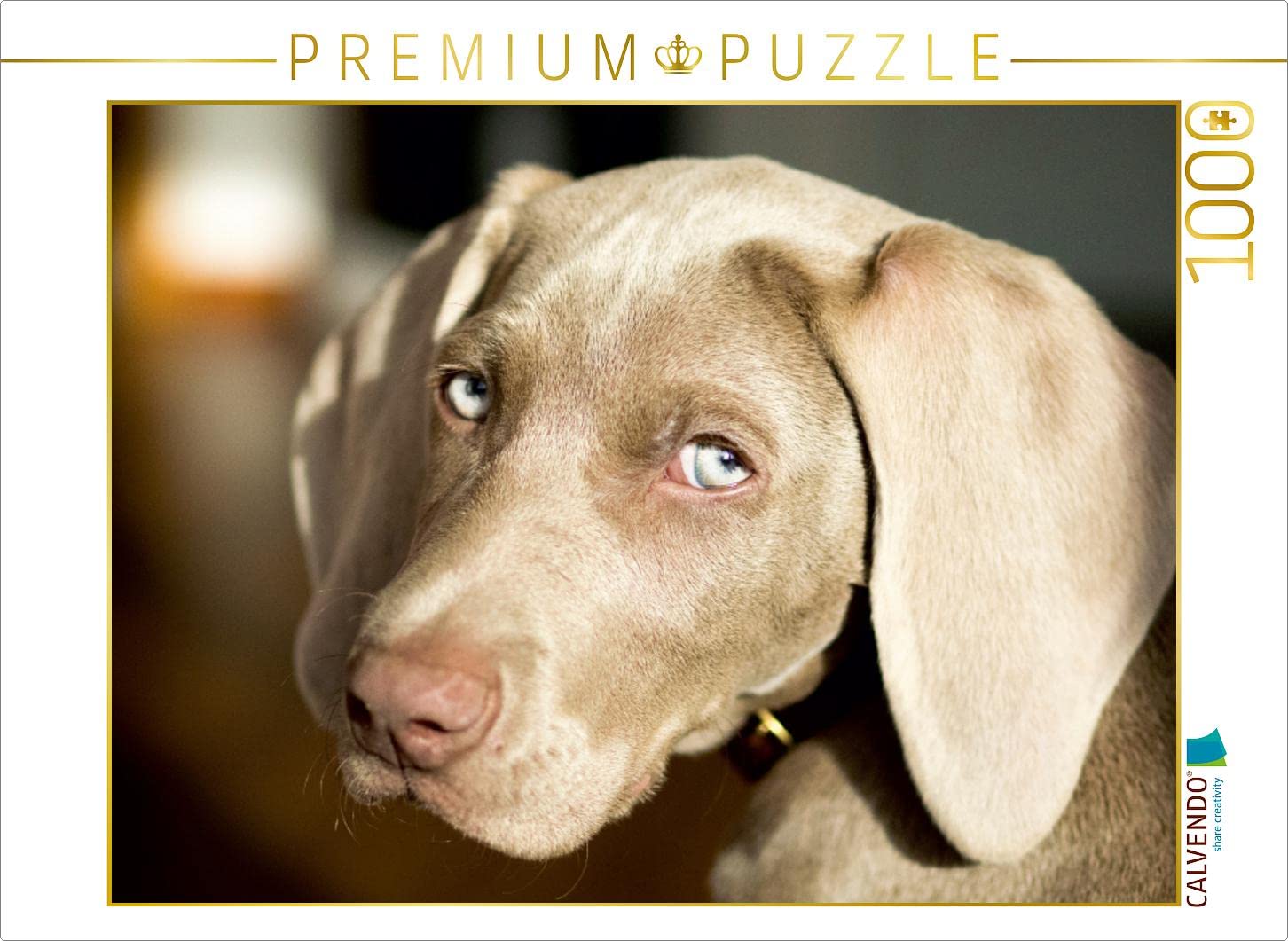 CALVENDO Puzzle Weimaraner, 1000 Teile, 64x48 Cm - Premium-Foto-Puzzle Für Puzzle-Fans