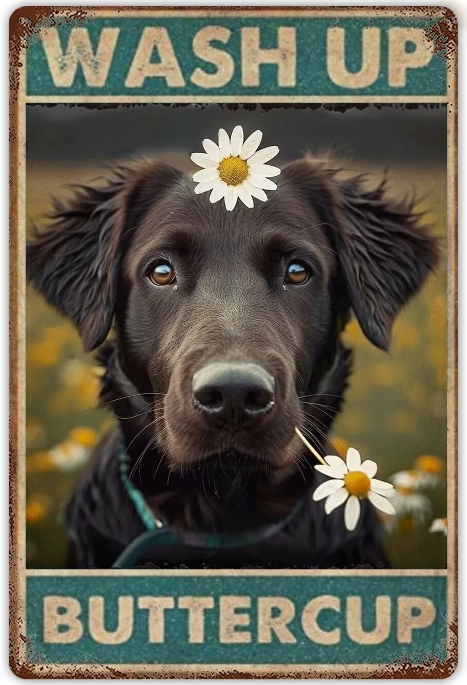 Anceky Dog Funny Bathroom Decor Diamond Art Kits for Adults,Wash Up Buttercup 5D Painting Art Kits Labrador Diamond Art Painting Kit for Adult Beginner Dog Wall Art for Home Wall Decor 8X12 Inch
