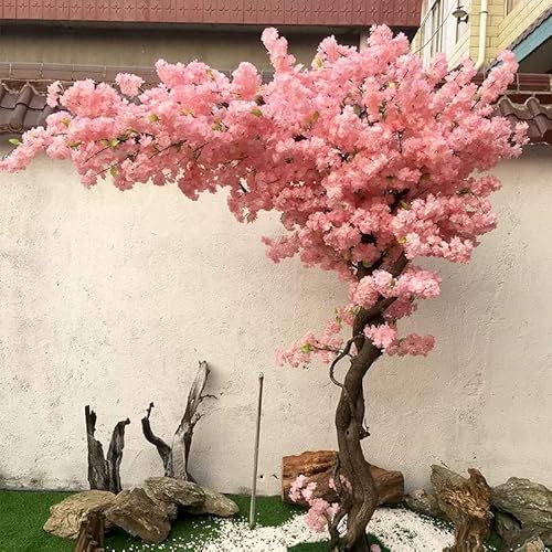 5 Best Cherry Blossom Home Decor Ideas to Enhance Your Home’s Beauty