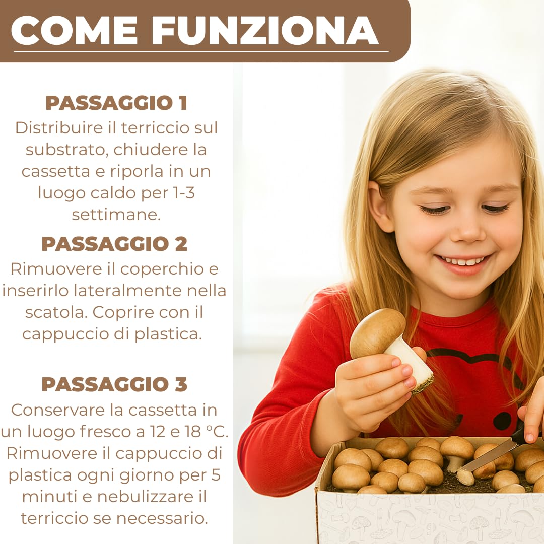Hawlik Pilzbrut - Set di 2 colture fungine da champignon XXL – grande set da degustazione – facile da coltivare da funghi, senza conoscenze preliminari – set da allevare funghi - funghi coltivazione