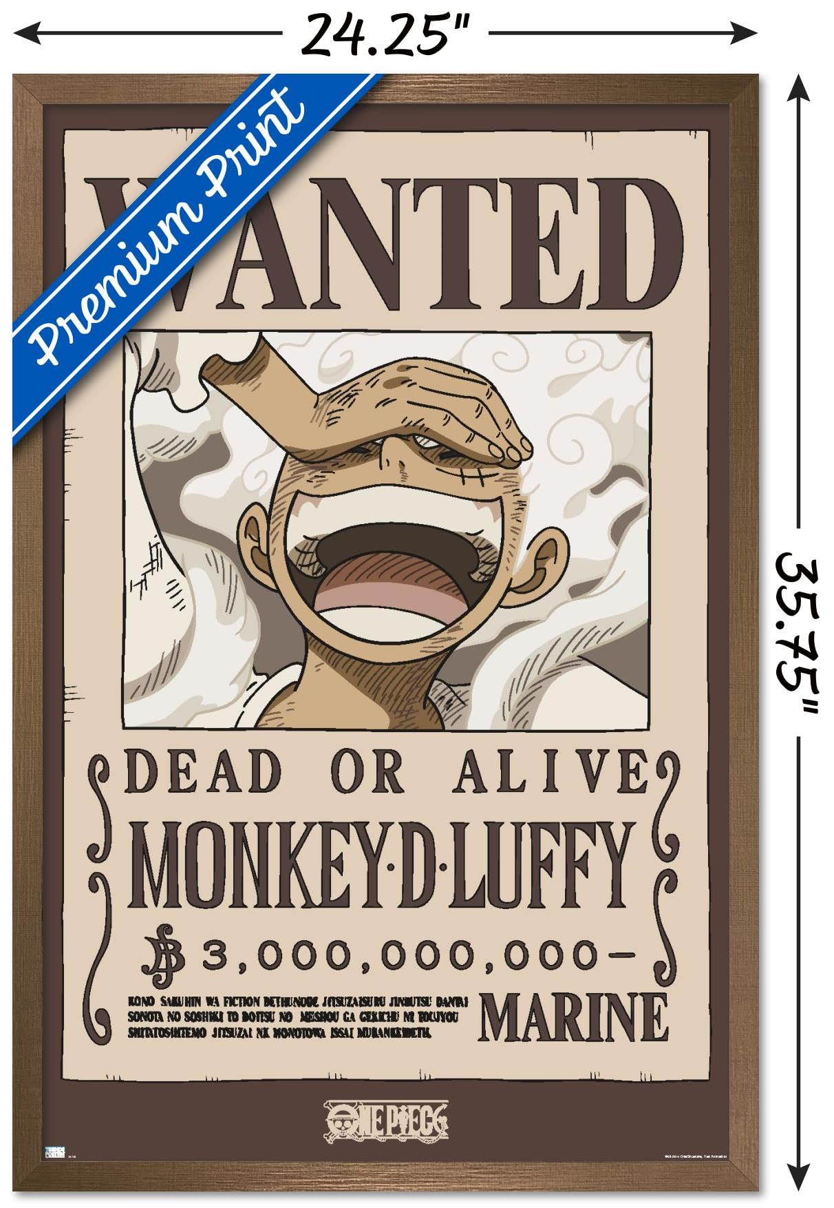 Amazon.com: Trends International One Piece - Monkey D Luffy Wanted