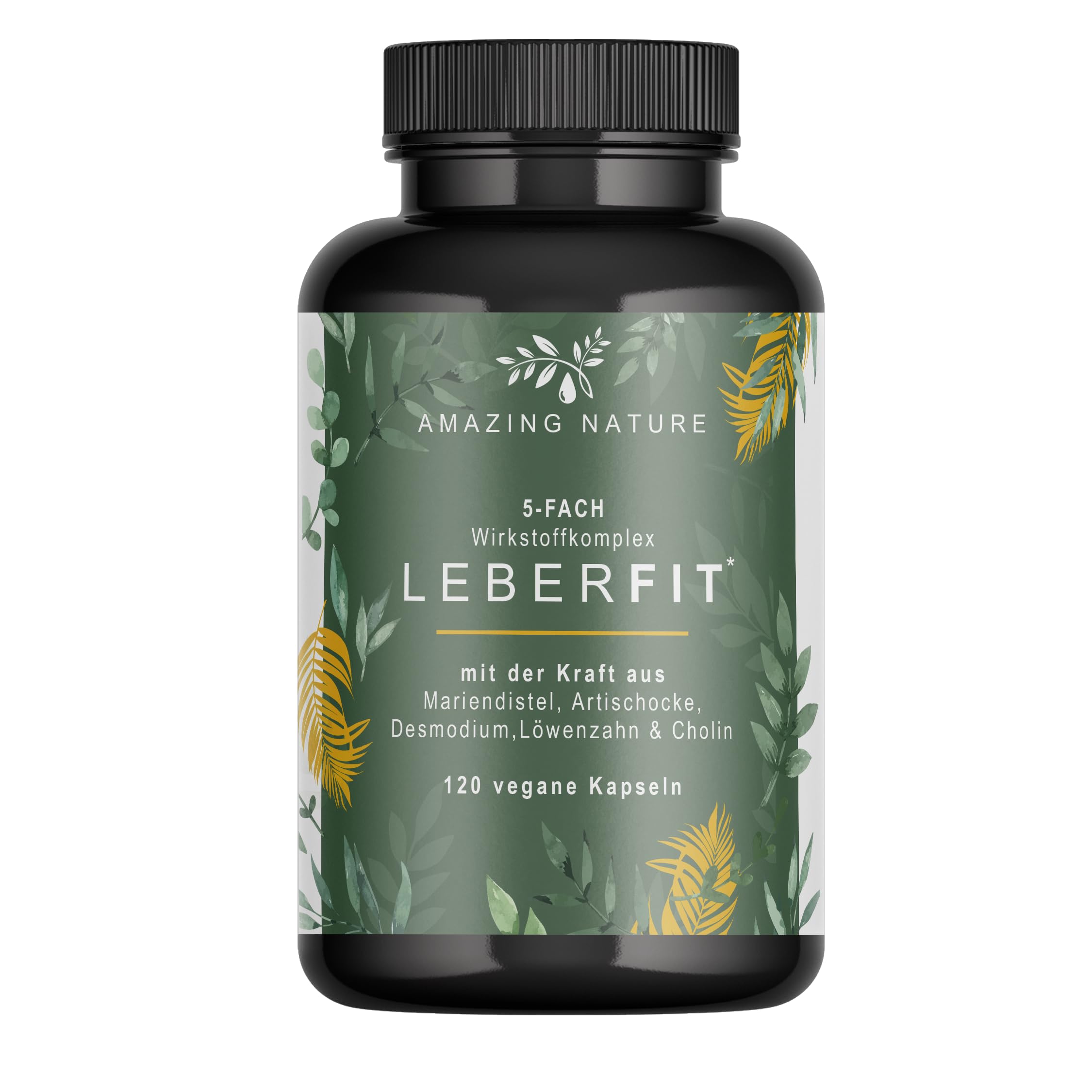 LeberFit Mariendistel Kapseln Hochdosiert 5-Fach Komplex mit Cholin | 80% Silymarin, Cholin & 4 Pflanzenextrakte nur 1 Kapsel täglich, bis zu 4 Monate Vorrat