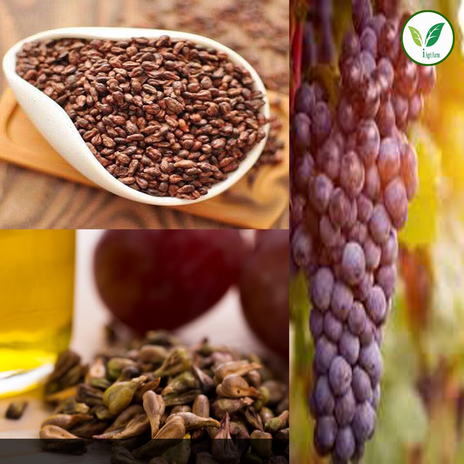 Iagrifarm Black Grape Seeds - 250 gram/Angur Beej/Grape Seed - Image 8 thumbnail