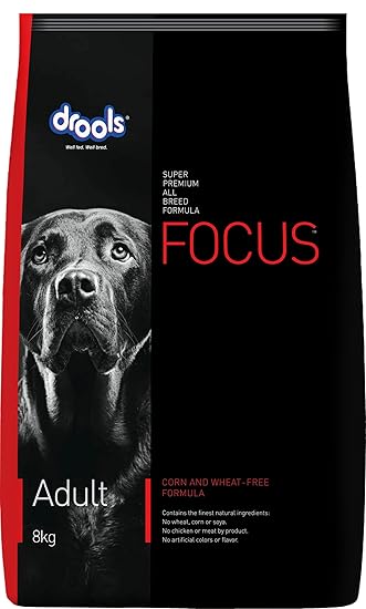 DROOLS FOCUS Adult 8Kg dog food