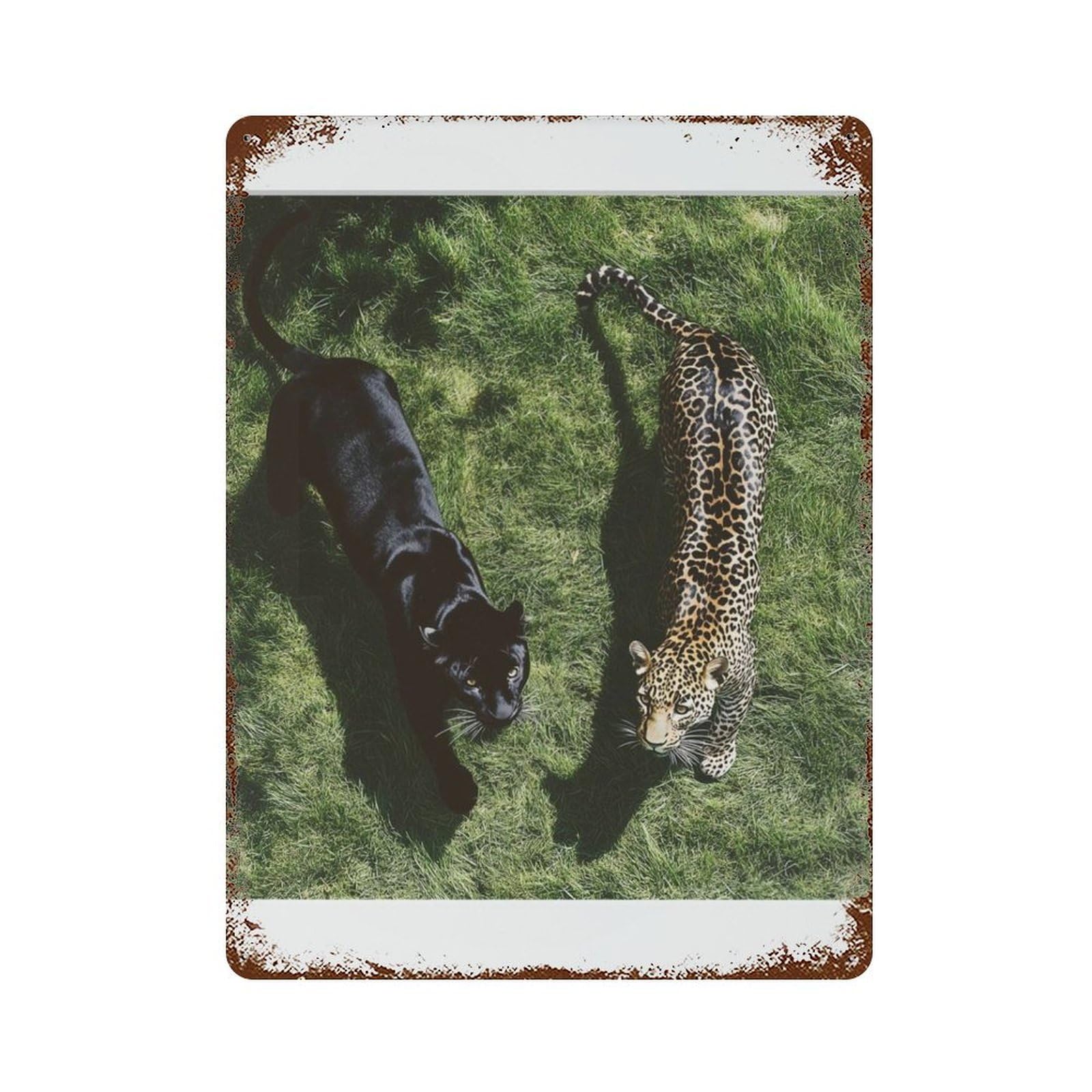 xiaoxiaoshen Black Panther, Leopard Wall Decor Art Metal Tin Poster Modern Home Decor Art Home Bar Shop Decorations Vintage Sign 40x30cm