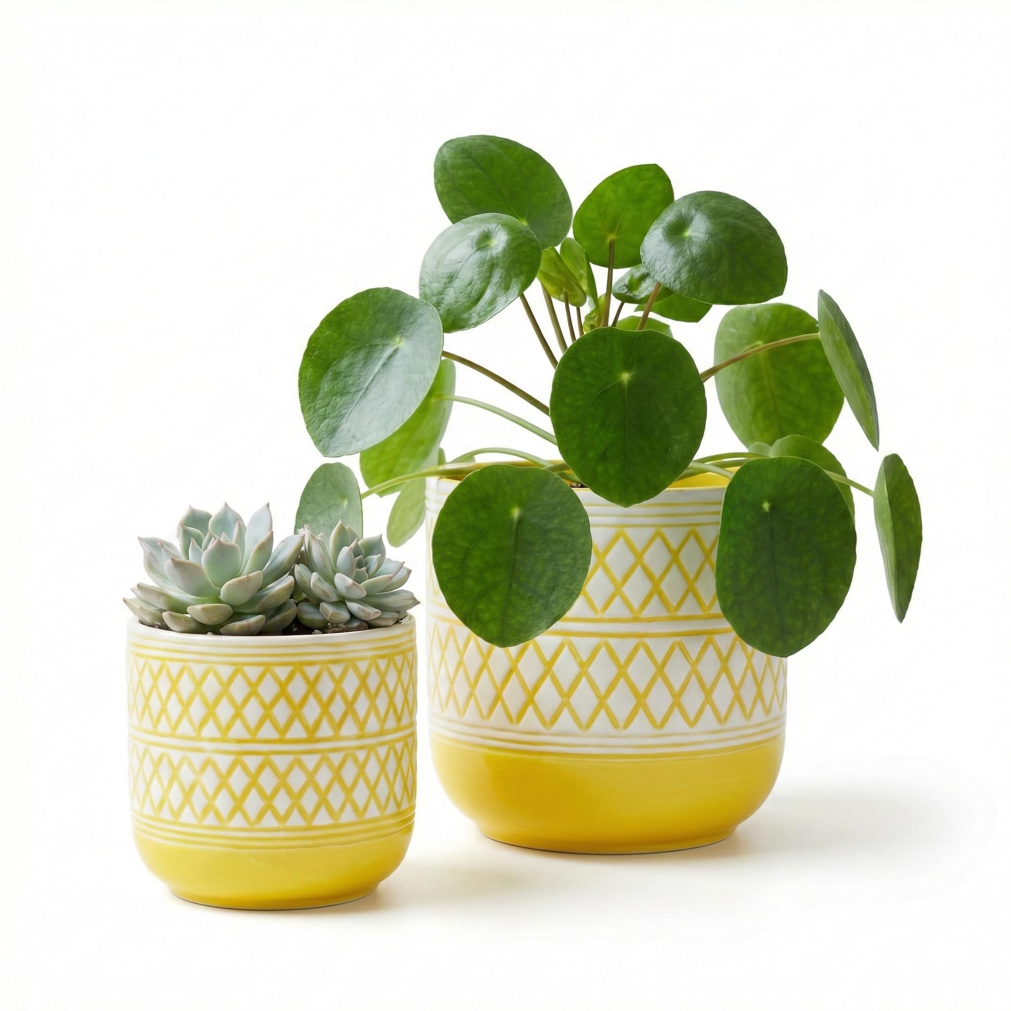 Amazon.com: HERDUK Decorative Ceramic Flower Pots Set of 2 – 6