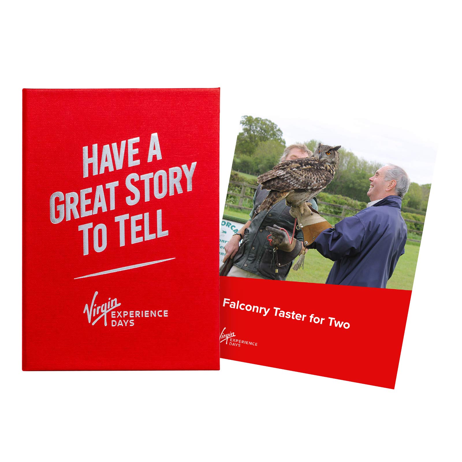 Falconry Taster for Two - 9 Locations across the UK - See up close and handle these incredible birds of prey in a phenomenal 3-hour experience