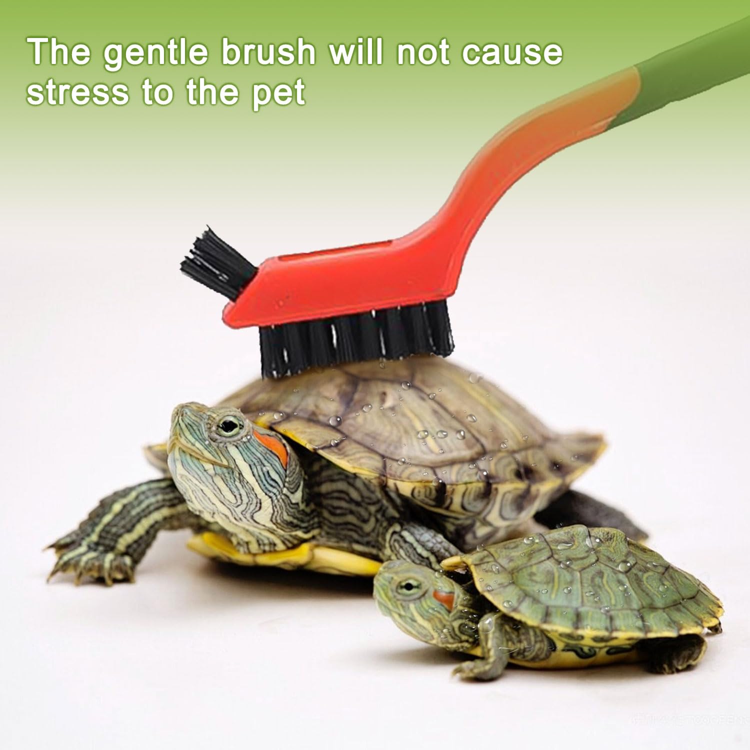 2 brosses à tortue avec ventouse, brosse de nettoyage pour écailles de tortue et brosse exfoliante pour tortue, accessoires pour tortues (vert)