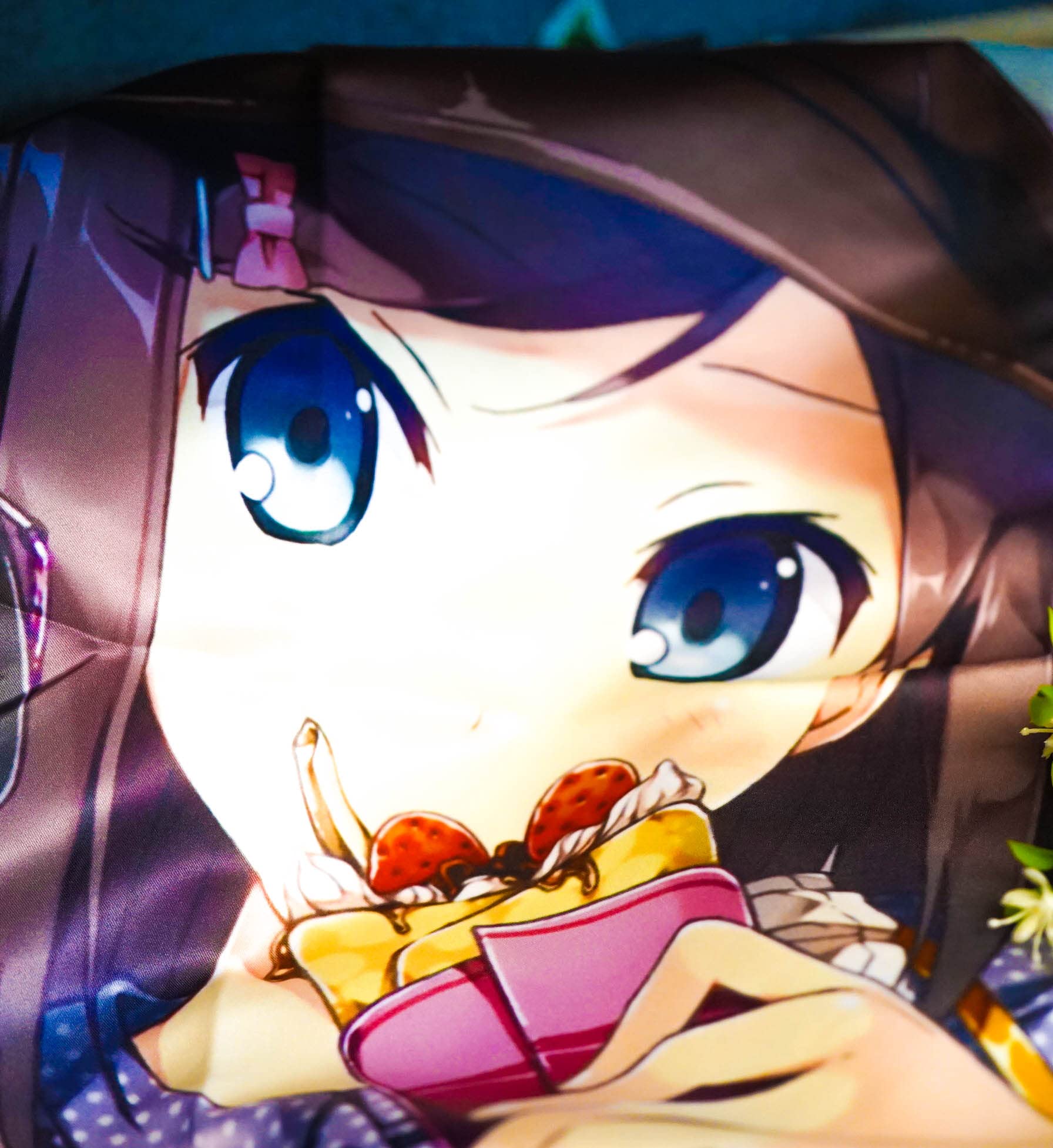 変態王子と笑わない猫。抱き枕カバー付きBlu-ray全巻　コミック　画集セット Amazon.co.jp: 変態王子と笑わない猫。 第5巻 特装版 初回限定